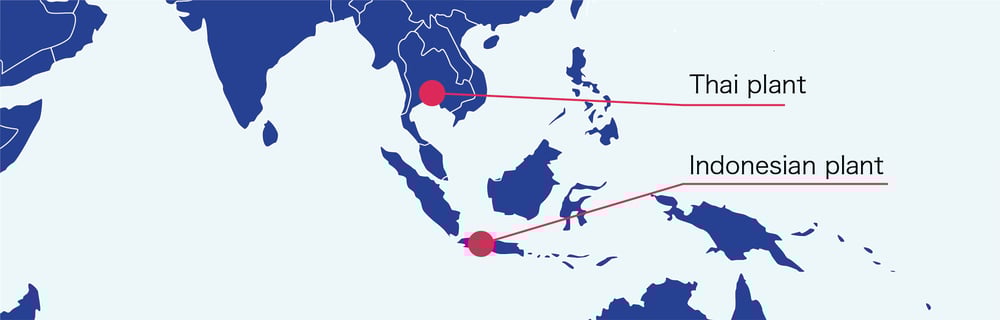 Thai plant Indonesian plant