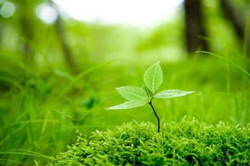 CO2排出量の削減と温暖化防止